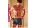 Мужские Трусы Boxer Berrak Мужские Трусы Boxer Berrak