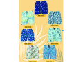 Ruko Swimwear Пляжные Мужские Шорты (S-M-L-XL-2XL) Ruko Swimwear Пляжные Мужские Шорты (S-M-L-XL-2XL)